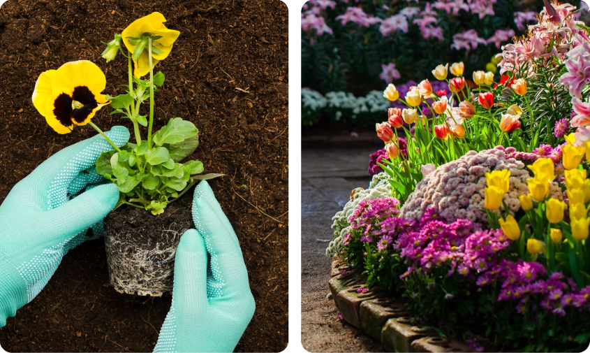 Nutrigarden Contacto