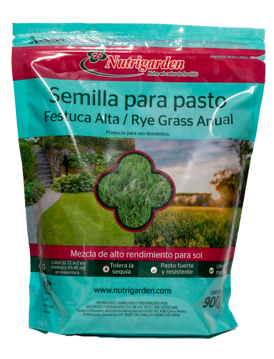 Semilla para pasto Festuca alta