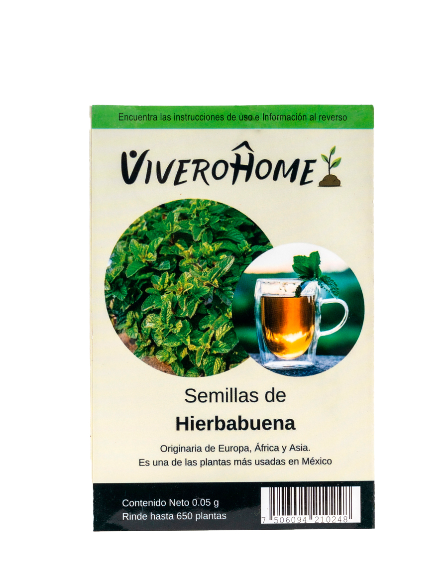 Semillas de Hierbabuena