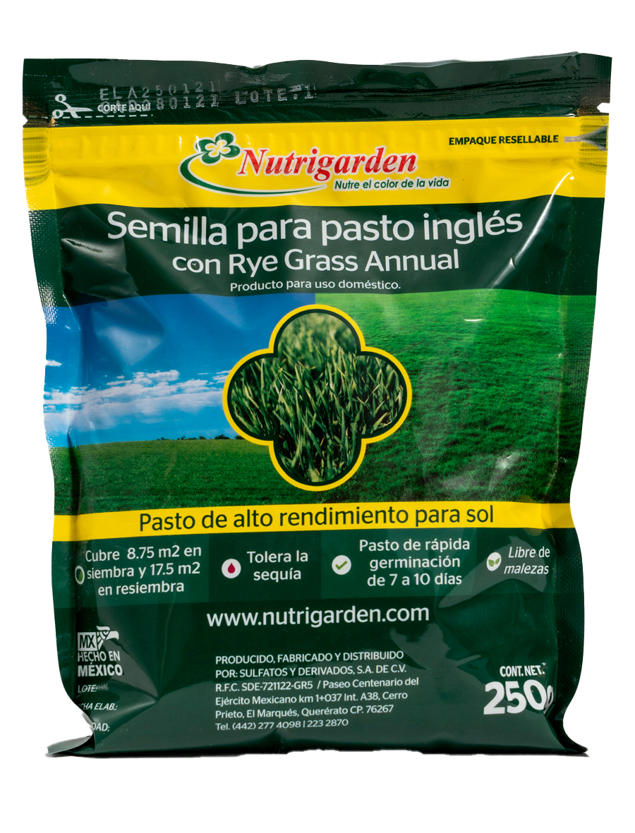 Semilla para pasto inglés 